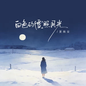 白色的雪照月光