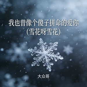 我也曾像个傻子拼命的爱你 (雪花呀雪花)