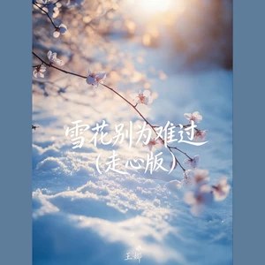 雪花别为我难过(走心版)