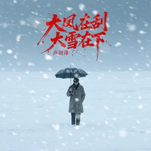 大风在刮大雪在下