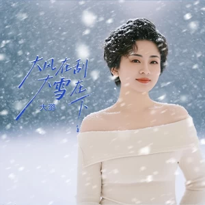 大风在刮大雪在下(DJ默涵版)