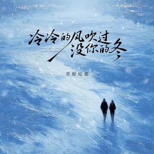 冷冷的风吹过没你的冬