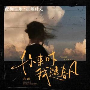 你来时我遇春风(DJ何友版)