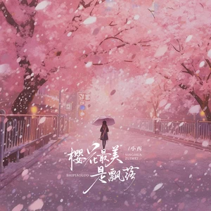 樱花最美的是飘落（心碎版）