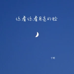 你看你看月亮的脸