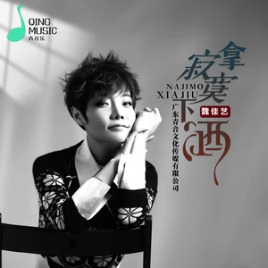 拿寂寞下酒(DJ默涵版)