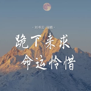 跪下来求命运怜惜