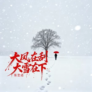 大风在刮大雪在下