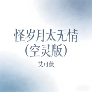 怪岁月太无情(空灵版)