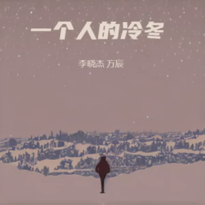 一个人的冷冬（DJ合唱版）