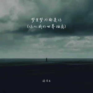 梦里梦外都是你 (你从我的世界抽离)
