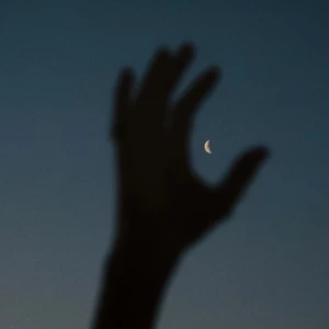 精卫(万物终归向海)