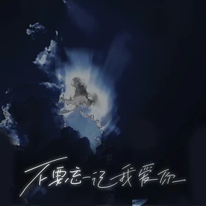 不要忘记我爱你 (R&B版)（Cover 张碧晨）