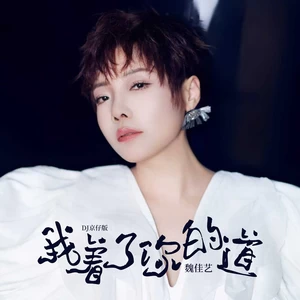 我着了你的道(DJ京仔版)