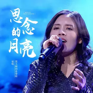 思念的月亮(DJ默涵版)