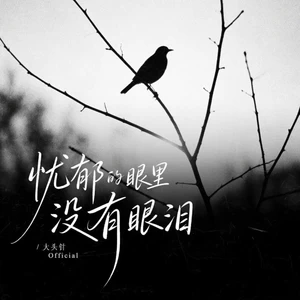 忧郁的眼里没有眼泪