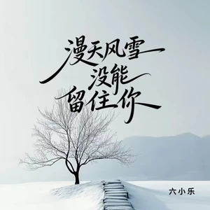 漫天风雪没能留住你