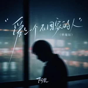 爱上一个不回家的人(燃爆版)