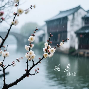 相思(深情女版)