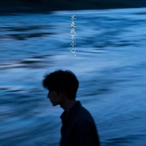 不是我不小心(R&B)