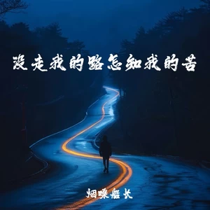 没走我的路怎知我的苦
