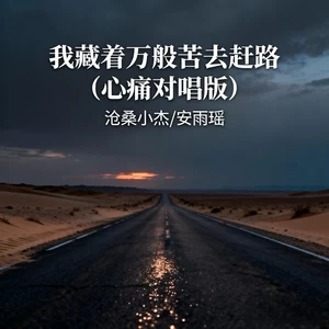 我藏着万般苦去赶路(心痛对唱版)
