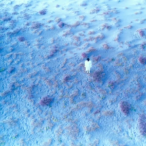 こだまでしょうか