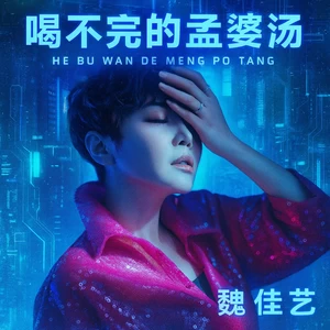 喝不完的孟婆汤（DJwjy版）(Remix)