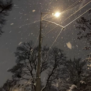 下什么雪喝什么酒