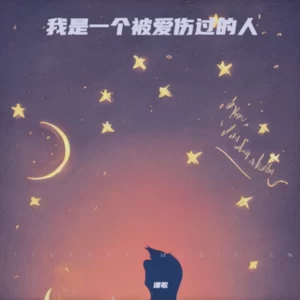 我是一个被爱伤过的人