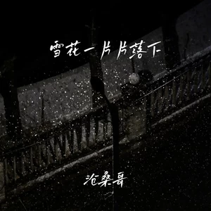 雪花一片片落下
