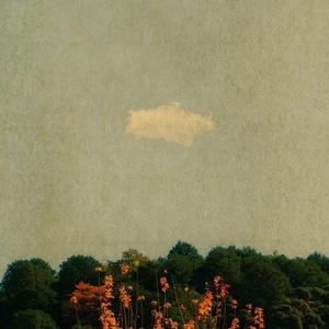 武家坡(王宝钏语录版)