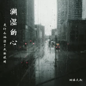 潮湿的心(是什么淋湿了我的眼睛)