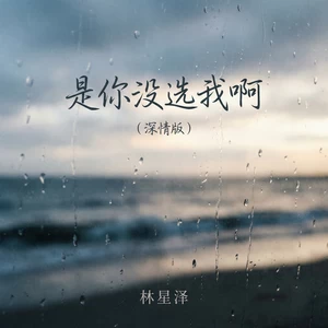是你没选我啊(深情版)
