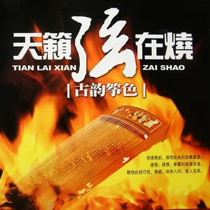 梅花三弄(古筝独奏)