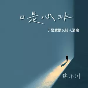 口是心非（于是爱恨交错人消瘦）