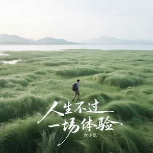 人生不过一场体验