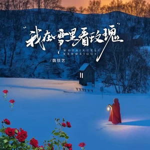 我在雪里看玫瑰(节奏版)