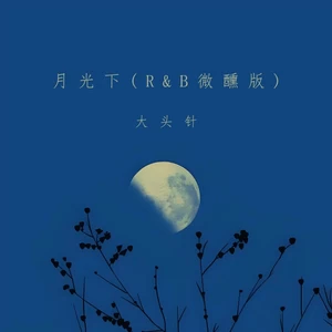 月光下(R&B微醺版)