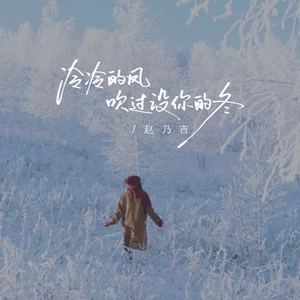 冷冷的风吹过没你的冬