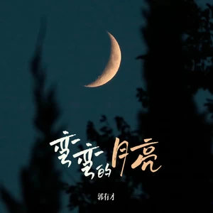 弯弯的月亮(DJ何友版)