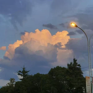 最美的梦(烟嗓女声版)