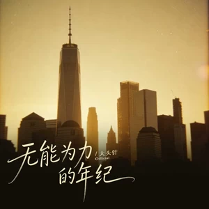 无能为力的年纪