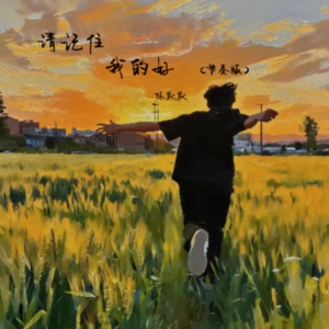 请记住我的好（节奏版）