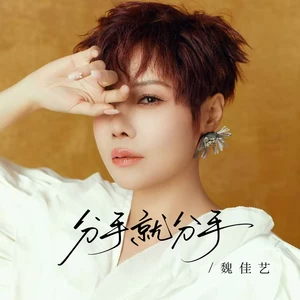 分手就分手（DJ京仔版）