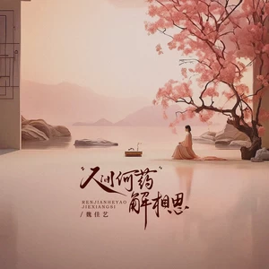 人间何药解相思（节奏版）