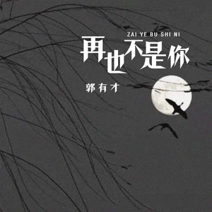 再也不是你(DJ默涵版)