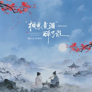相思煮酒醉了谁（国粤对唱节奏版）