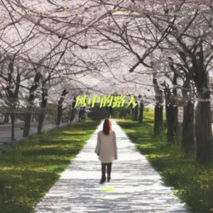 风中的路人（遗憾版）
