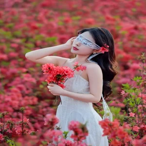 映山红（藏语版）